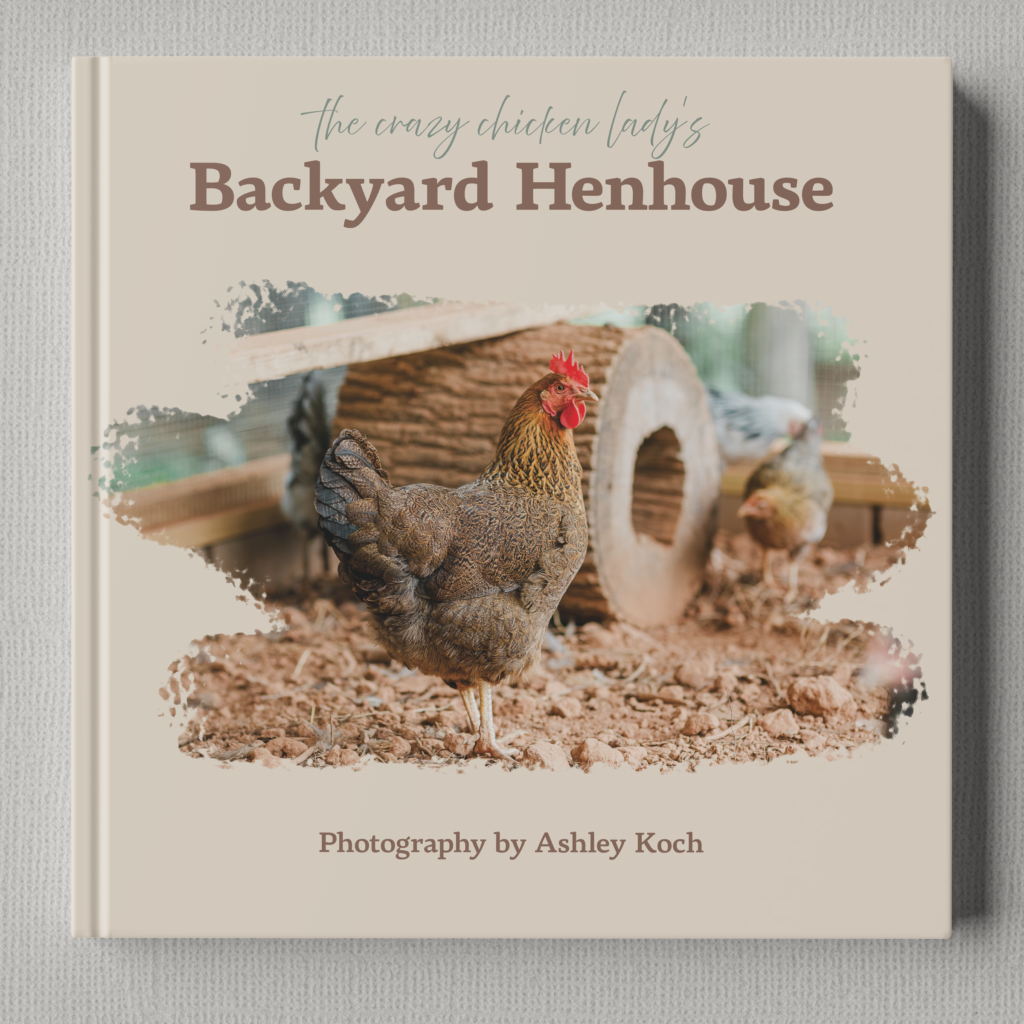 square photography book about chickens